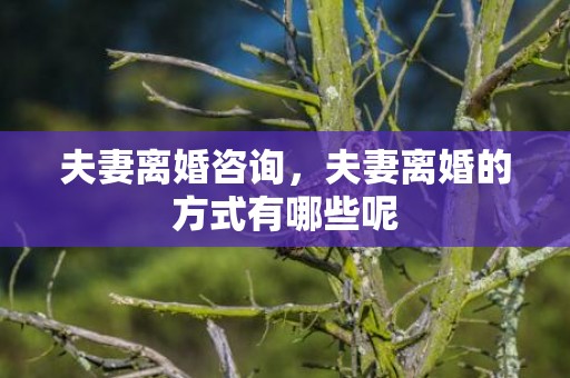 夫妻离婚咨询，夫妻离婚的方式有哪些呢