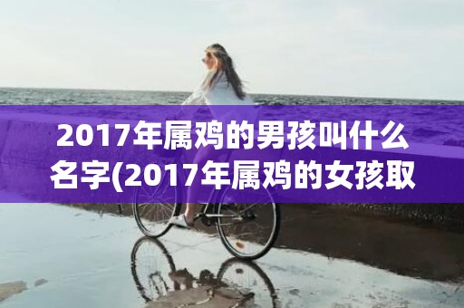 2017年属鸡的男孩叫什么名字(2017年属鸡的女孩取什么名字好)