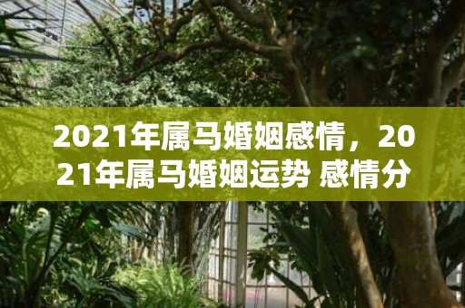 2021年属马婚姻感情，2021年属马婚姻运势 感情分分合合