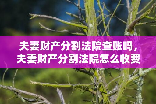 夫妻财产分割法院查账吗，夫妻财产分割法院怎么收费