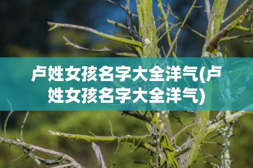 卢姓女孩名字大全洋气(卢姓女孩名字大全洋气)