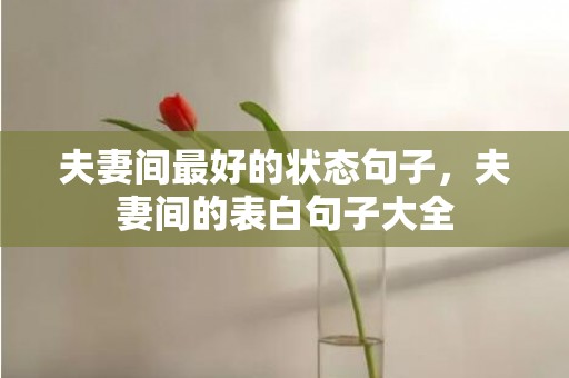 夫妻间最好的状态句子，夫妻间的表白句子大全