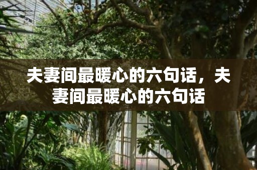 夫妻间最暖心的六句话，夫妻间最暖心的六句话