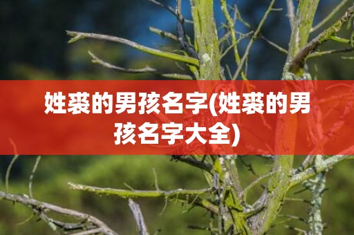 姓裘的男孩名字(姓裘的男孩名字大全)
