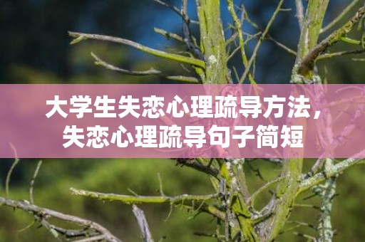 大学生失恋心理疏导方法，失恋心理疏导句子简短