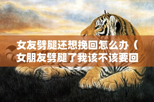 女友劈腿还想挽回怎么办（女朋友劈腿了我该不该要回钱）