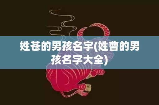 姓苍的男孩名字(姓曹的男孩名字大全)