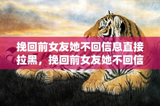 挽回前女友她不回信息直接拉黑，挽回前女友她不回信息（挽回前男友不回信息）