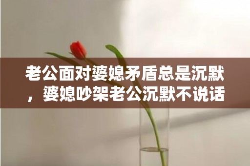 老公面对婆媳矛盾总是沉默，婆媳吵架老公沉默不说话