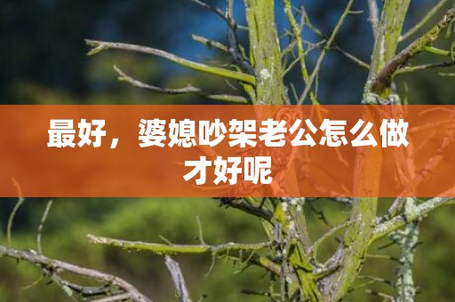 最好，婆媳吵架老公怎么做才好呢