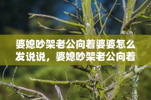 婆媳吵架老公向着婆婆怎么发说说，婆媳吵架老公向着他妈要钱