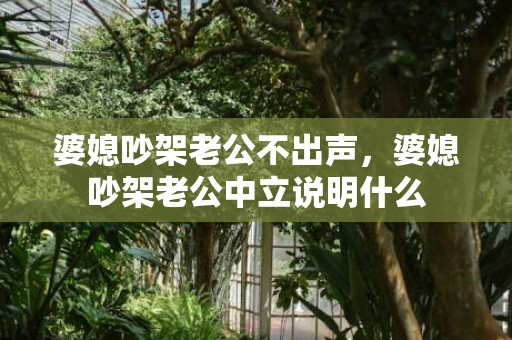 婆媳吵架老公不出声，婆媳吵架老公中立说明什么