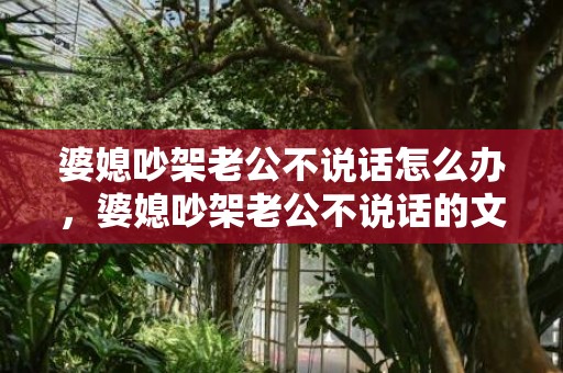 婆媳吵架老公不说话怎么办，婆媳吵架老公不说话的文案