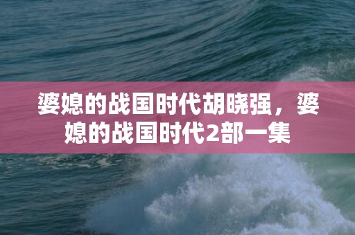 婆媳的战国时代胡晓强，婆媳的战国时代2部一集