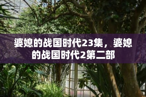 婆媳的战国时代23集，婆媳的战国时代2第二部
