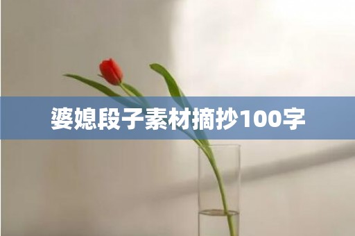 婆媳段子素材摘抄100字