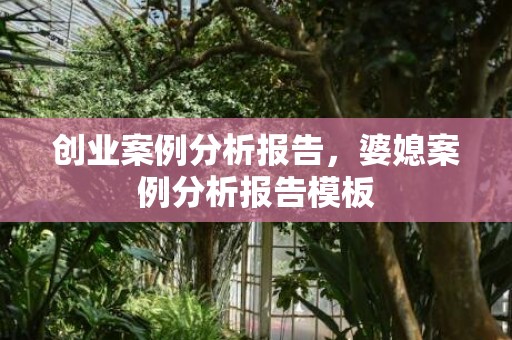 创业案例分析报告，婆媳案例分析报告模板