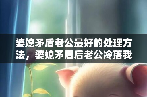 婆媳矛盾老公最好的处理方法，婆媳矛盾后老公冷落我了