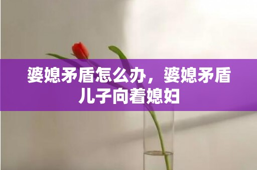 婆媳矛盾怎么办，婆媳矛盾儿子向着媳妇