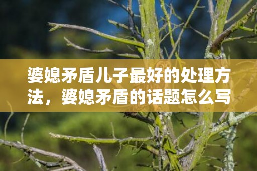 婆媳矛盾儿子最好的处理方法，婆媳矛盾的话题怎么写好看