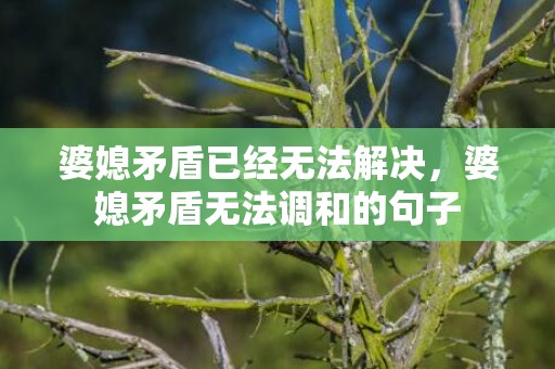 婆媳矛盾已经无法解决，婆媳矛盾无法调和的句子