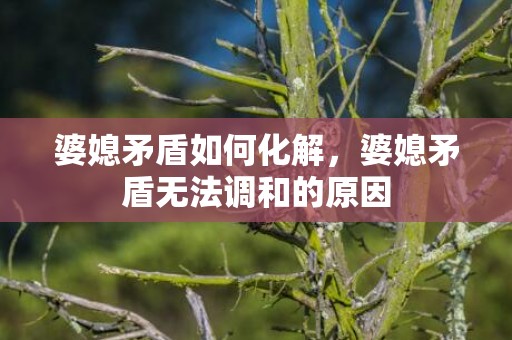 婆媳矛盾如何化解，婆媳矛盾无法调和的原因