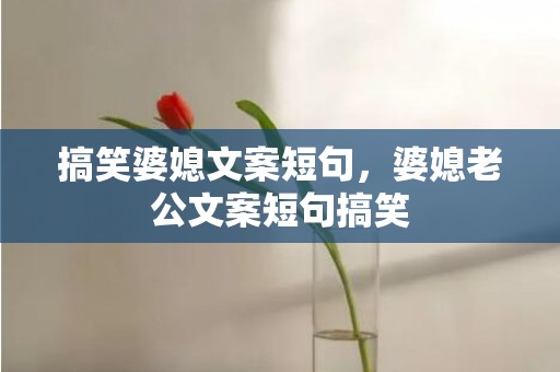 搞笑婆媳文案短句，婆媳老公文案短句搞笑