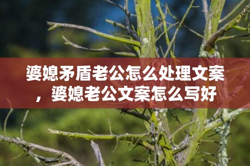 婆媳矛盾老公怎么处理文案，婆媳老公文案怎么写好
