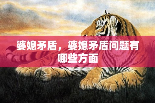婆媳矛盾，婆媳矛盾问题有哪些方面