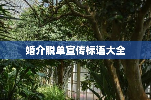 婚介脱单宣传标语大全