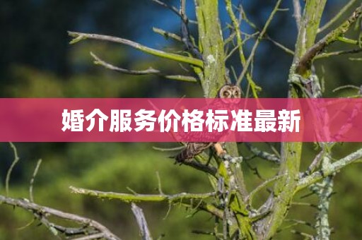 婚介服务价格标准最新