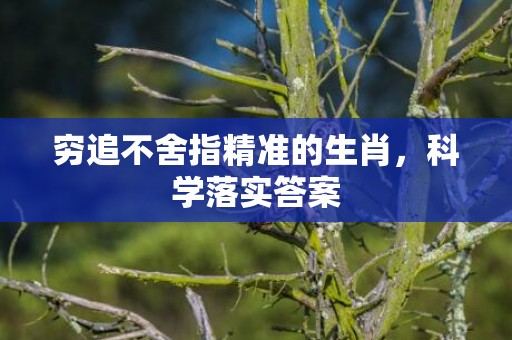 穷追不舍指精准的生肖，科学落实答案