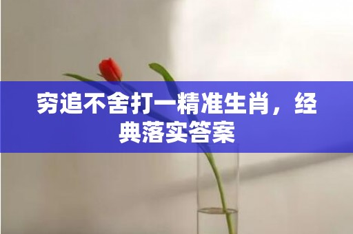 穷追不舍打一精准生肖，经典落实答案