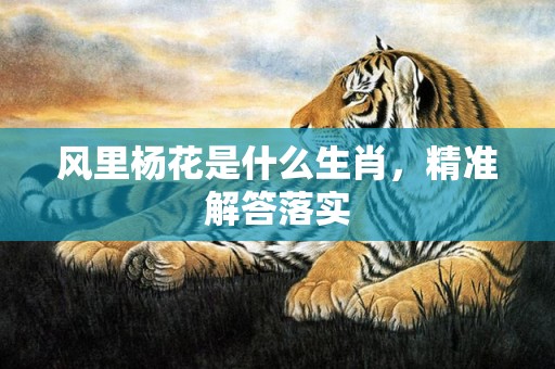 风里杨花是什么生肖，精准解答落实