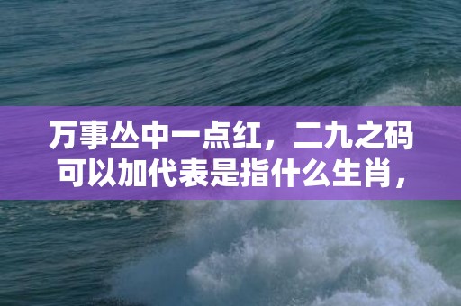 万事丛中一点红，二九之码可以加代表是指什么生肖，词语解释落实