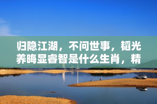 归隐江湖，不问世事，韬光养晦显睿智是什么生肖，精准解释落实