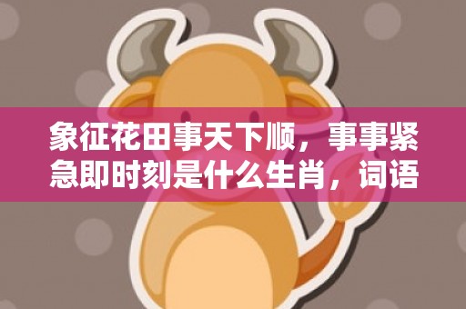 象征花田事天下顺，事事紧急即时刻是什么生肖，词语解释落实