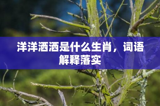 洋洋洒洒是什么生肖，词语解释落实