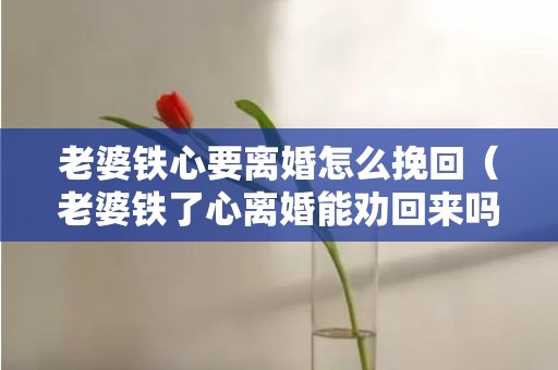 老婆铁心要离婚怎么挽回（老婆铁了心离婚能劝回来吗）
