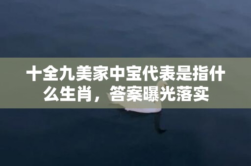 十全九美家中宝代表是指什么生肖，答案曝光落实