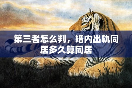 第三者怎么判，婚内出轨同居多久算同居