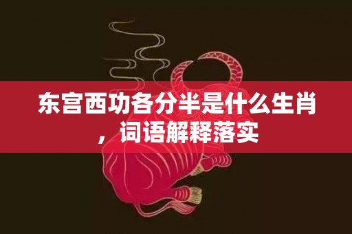东宫西功各分半是什么生肖，词语解释落实