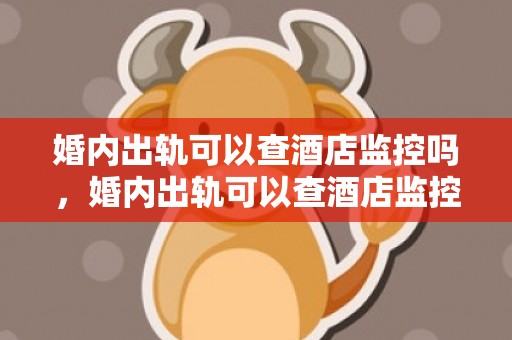 婚内出轨可以查酒店监控吗，婚内出轨可以查酒店监控吗