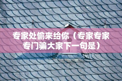 专家处偷来给你（专家专家专门骗大家下一句是）