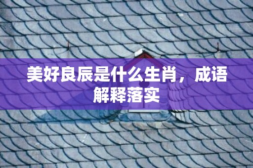 美好良辰是什么生肖，成语解释落实
