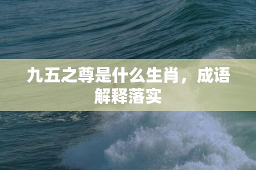 九五之尊是什么生肖，成语解释落实