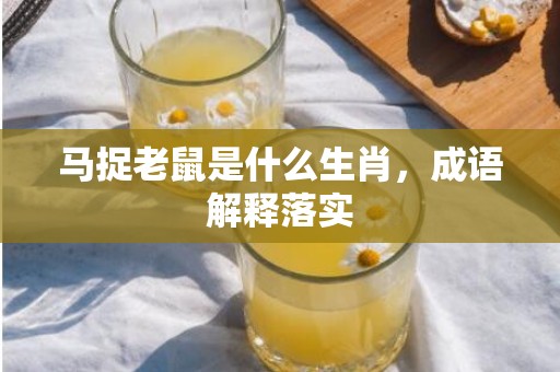 马捉老鼠是什么生肖，成语解释落实