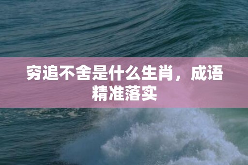 穷追不舍是什么生肖，成语精准落实