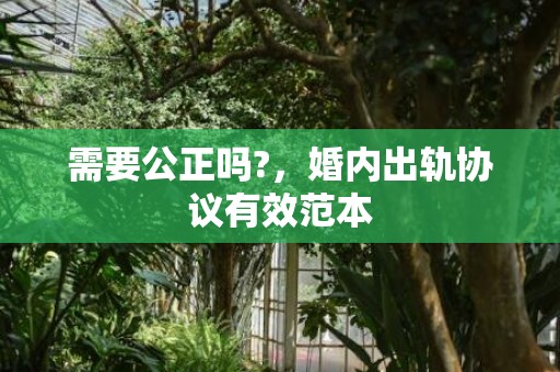 需要公正吗?，婚内出轨协议有效范本