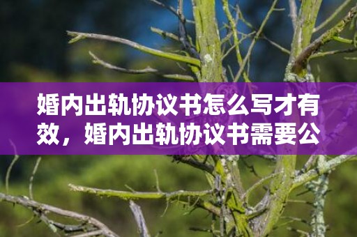 婚内出轨协议书怎么写才有效，婚内出轨协议书需要公证吗